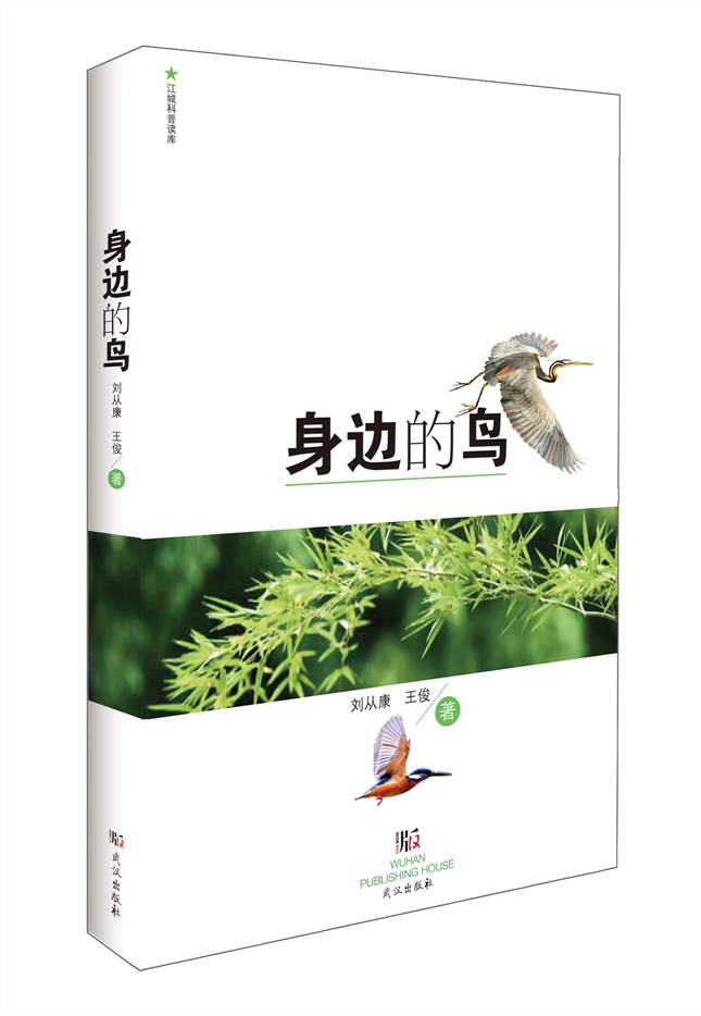 开发者如何高效接入通讯服务